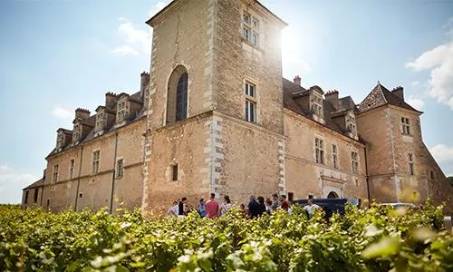 Image qui illustre: Découverte du Château du Clos de Vougeot