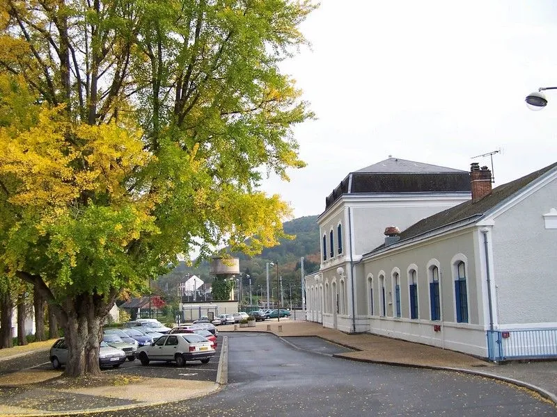 Image qui illustre: Ginkgos bilobas à Saint-Sulpice-Laurière - 1