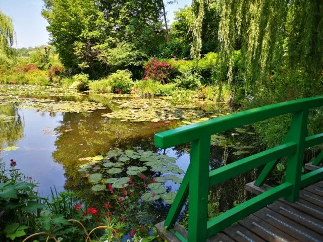 Image qui illustre: Le Jardin d'Eau