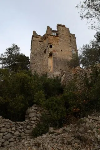 Image qui illustre: Visite guidée du château de Roquevaire