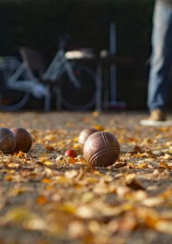 Image qui illustre: Pétanque : Concours Tous Les Vendredis Soirs Du 7 Juin Au 27 Septembre