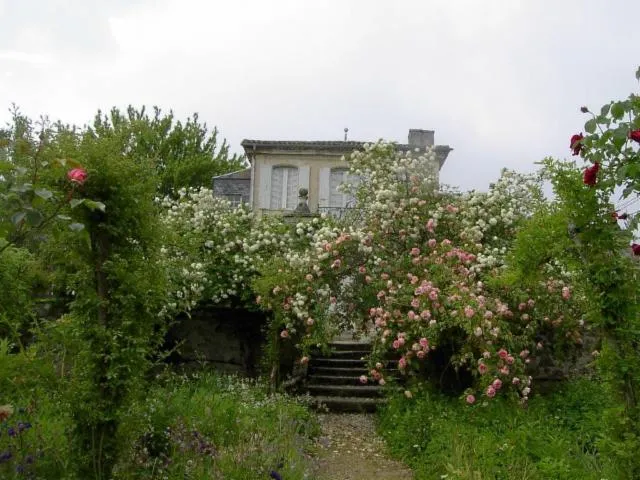 Image qui illustre: Les Jardins Du Château De Mongenan