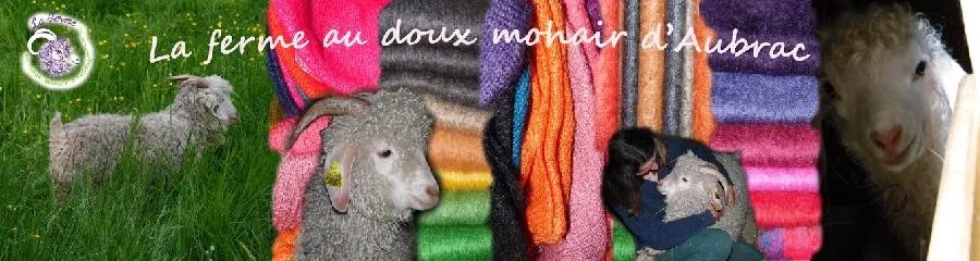 Image qui illustre: La Ferme Au Doux Mohair D'aubrac