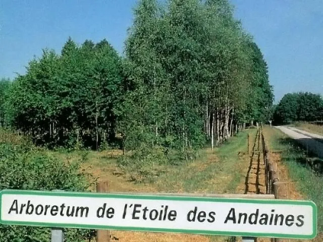 Image qui illustre: Arboretum De L'etoile Des Andaines