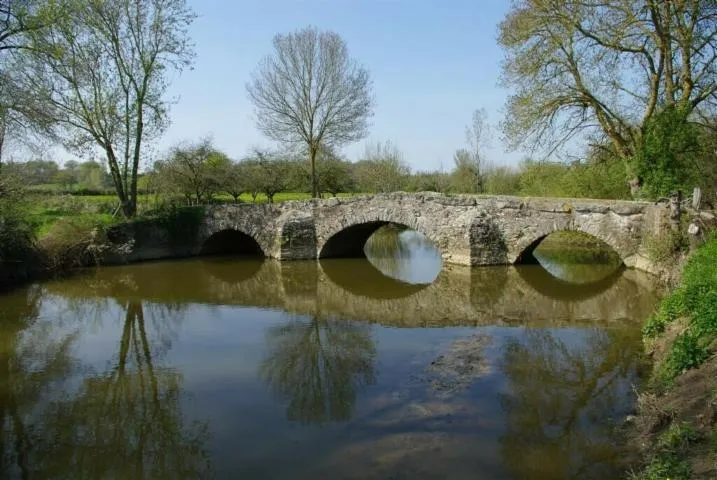 Image qui illustre: Pont de Bréaud