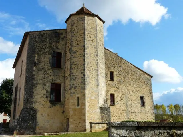 Image qui illustre: Château de Montbron