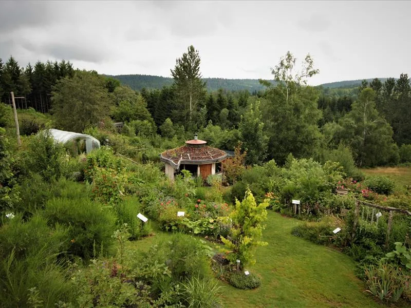 Image qui illustre: Rencard Nature : Visite Guidée 'les Plantes Comestibles De Mon Jardin-forêt' à Girmont-Val-d'Ajol - 0