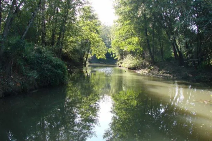 Image qui illustre: Site Natura 2000 de la Gélise et ses affluents