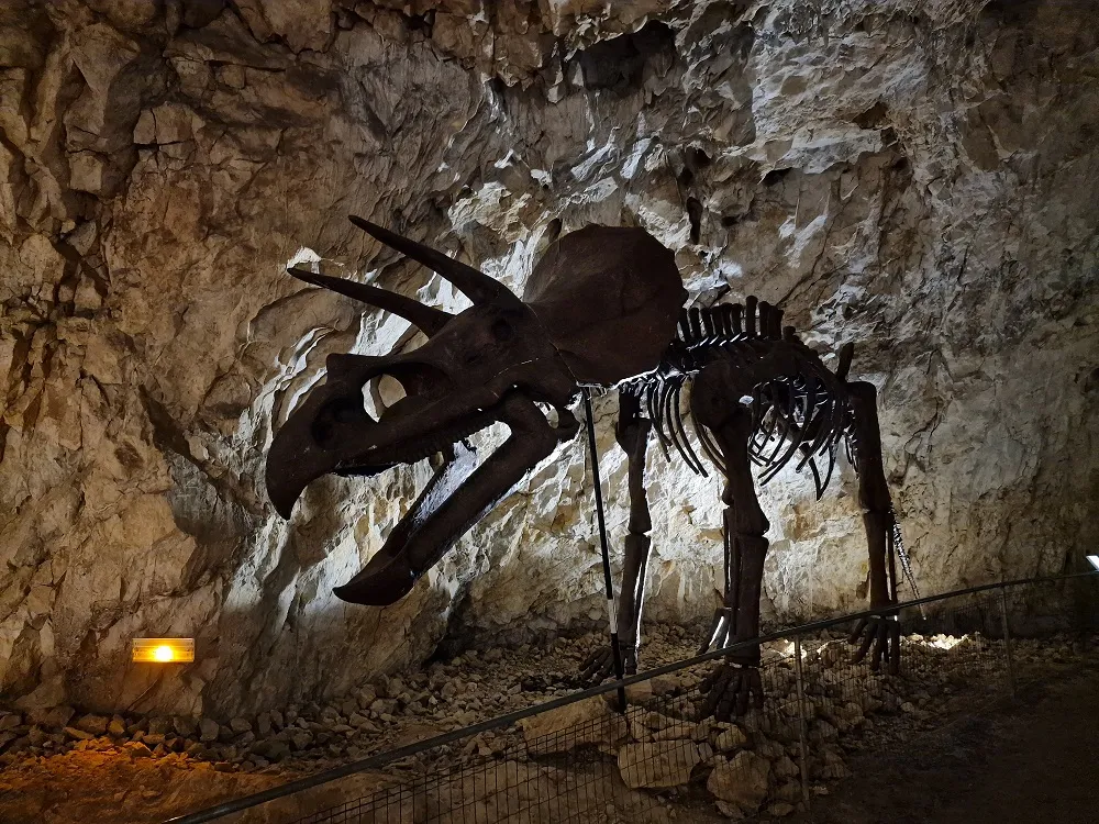 Image qui illustre: Cova Bastera - Dinopedia Experience à Villefranche-de-Conflent - 1