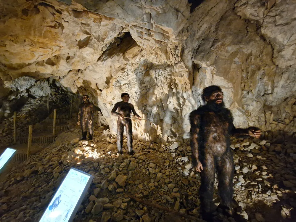 Image qui illustre: Cova Bastera - Dinopedia Experience à Villefranche-de-Conflent - 2