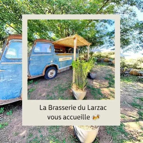 Image qui illustre: La Brasserie Du Larzac