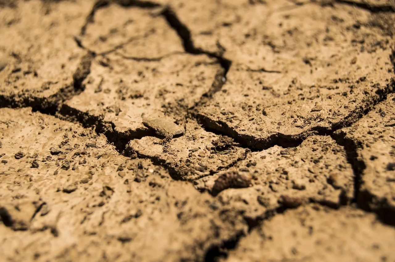 Image qui illustre: L’eau en milieu calcaire et les conséquences de la sécheresse à Béthines - 0
