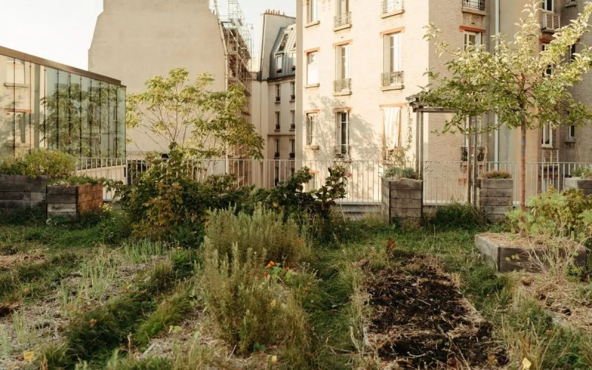 Image qui illustre: Découvrez la permaculture à Paris - 2