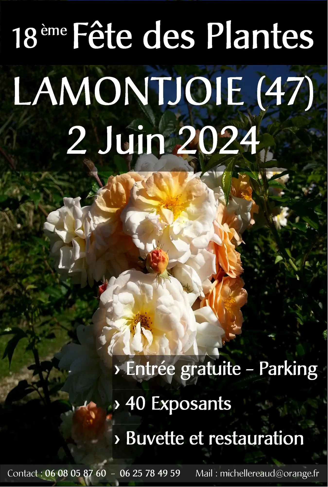 Image qui illustre: Fête des plantes rares à Lamontjoie - 0