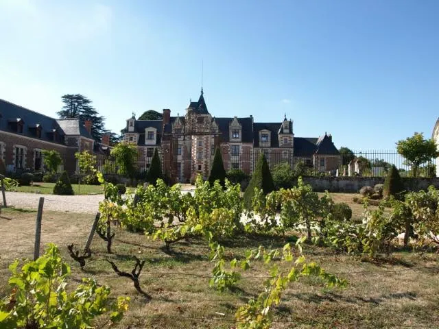 Image qui illustre: Château de Jallanges