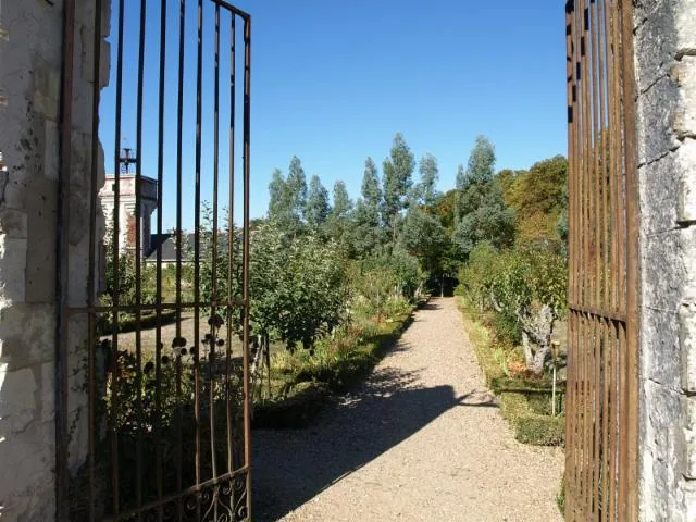 Image qui illustre: Château de Jallanges