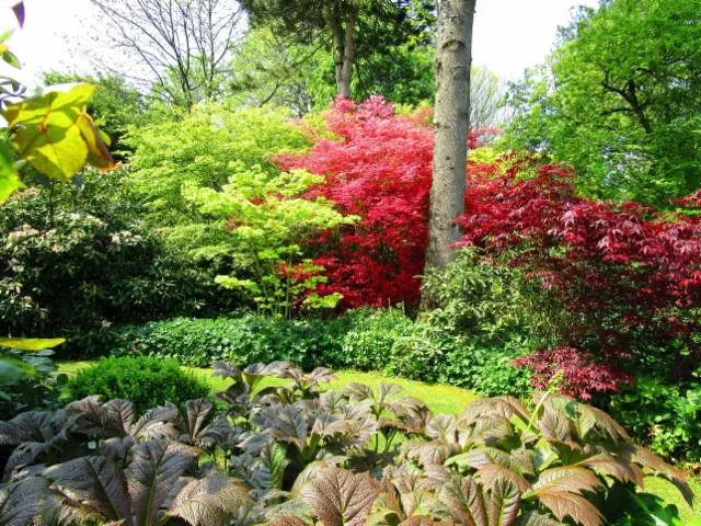 Image qui illustre: Visite guidée du jardin et du parc botanique de Bray sur le thème des 5 sens