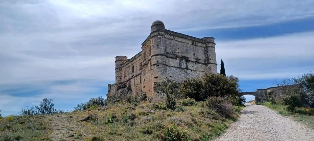 Image qui illustre: Château Du Barroux