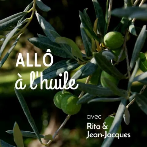 Image qui illustre: Visitez une oliveraie en culture biologique