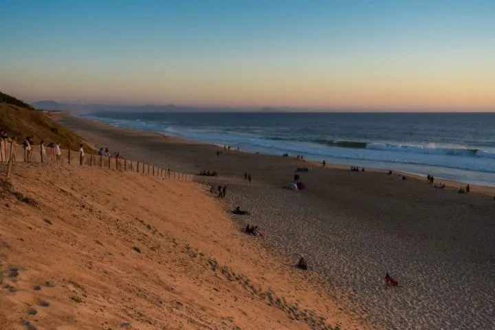 Image qui illustre: Plage Des Océanides