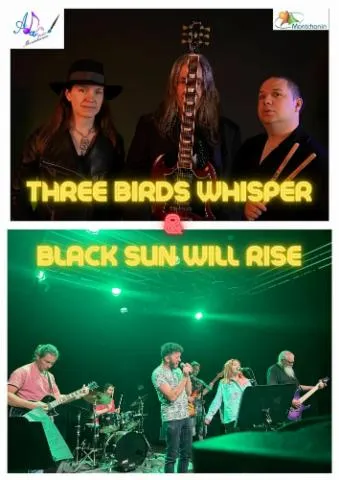 Image qui illustre: Three Birds Whisper et Black Sun Will Rise