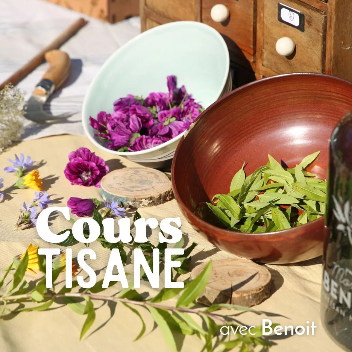 Image qui illustre: Créez votre tisane à Saint-Romain-au-Mont-d'Or - 0