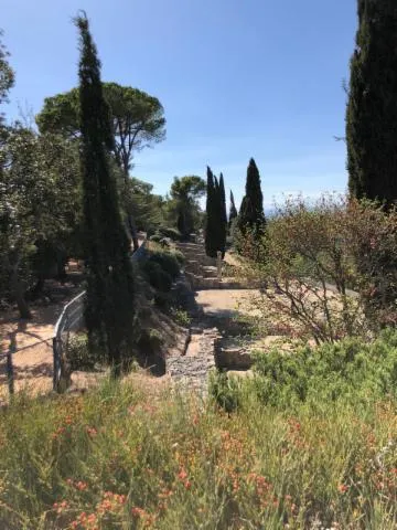 Image qui illustre: Site gallo-romain d’Ensérune