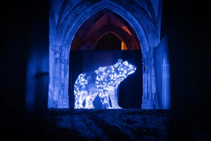 Image qui illustre: Les Nuits Lumière De Bourges
