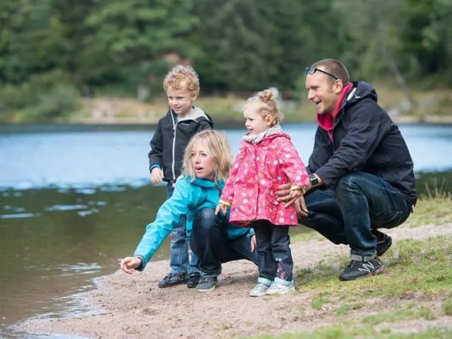 Image qui illustre: Balade Famille Au Lac De Blanchemer À La Bresse