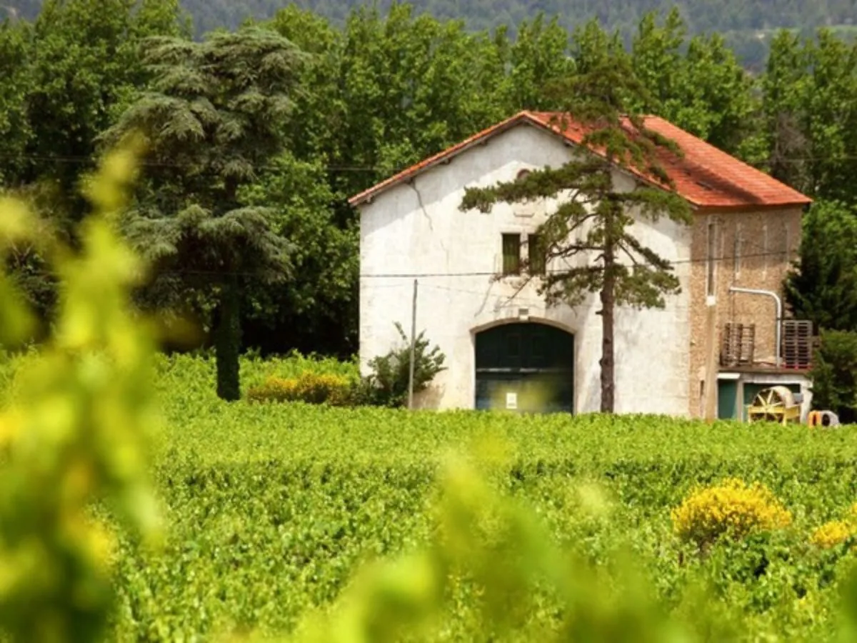 Image qui illustre: L'été En Corbières - Domaine De Mingraut à Fontcouverte - 0