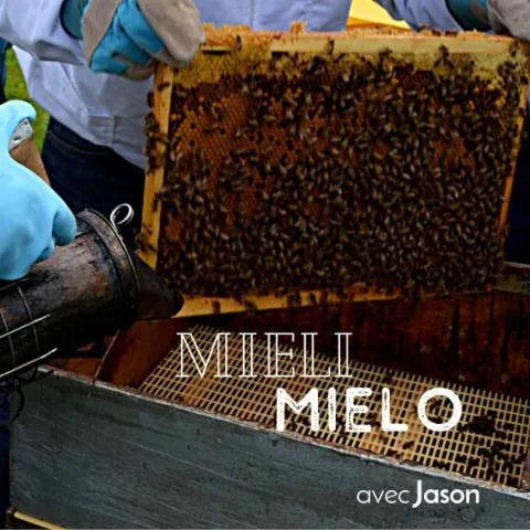 Image qui illustre: Découvrez l'apiculture