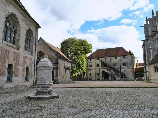 Image qui illustre: Visite Guidée Cité épiscopale