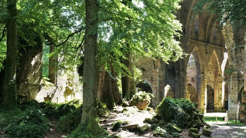 Image qui illustre: Visite de l'Abbaye de Trois-Fontaines