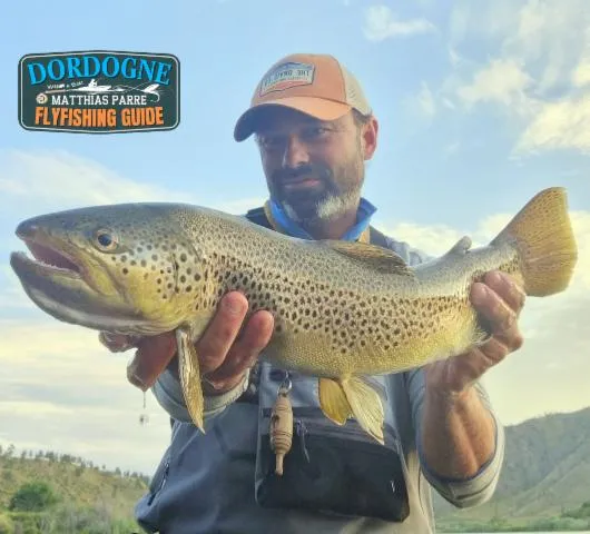 Image qui illustre: Dordogne Flyfishing Guide