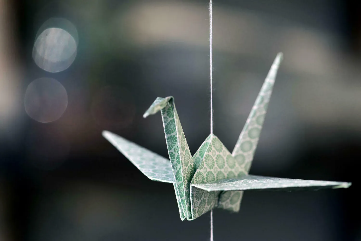 Image qui illustre: Atelier d'origami à Valence - 0