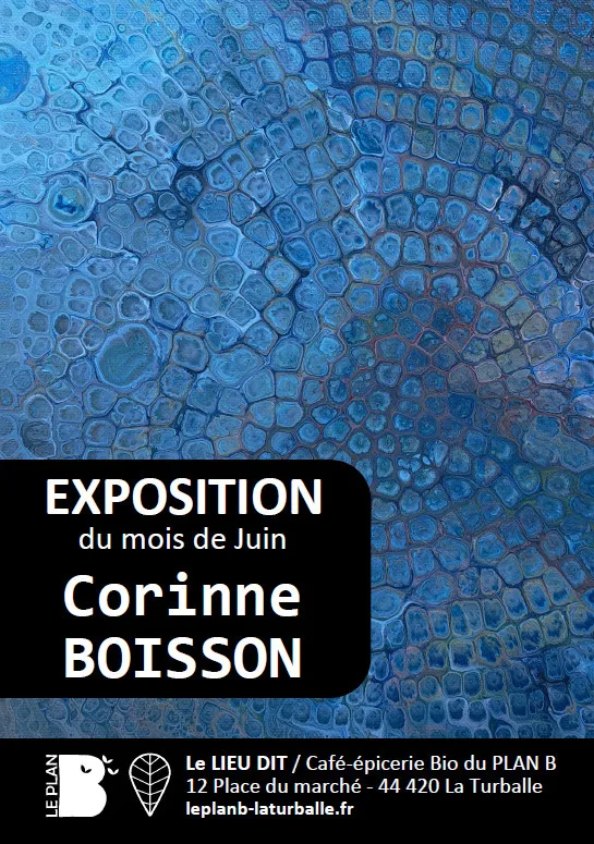 Image qui illustre: Exposition de Corinne BOISSON à La Turballe - 0