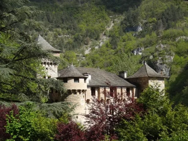 Image qui illustre: Chateau De La Caze