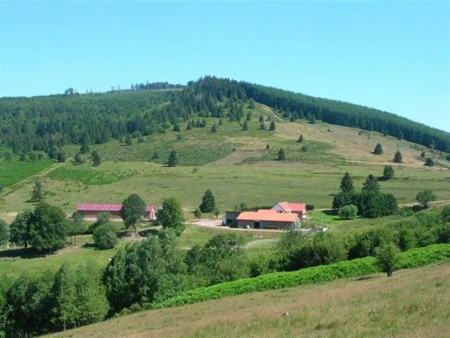 Image qui illustre: Circuit Rando C15 : Autour Du Col De La Perheux