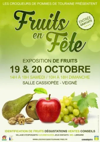 Image qui illustre: Fruits En Fête