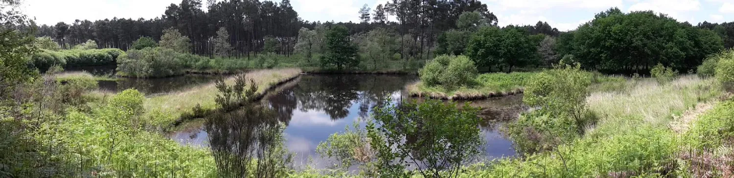 Image qui illustre: Le Marais Du Plata