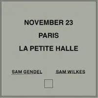 Image qui illustre: Sam Gendel & Sam Wilkes