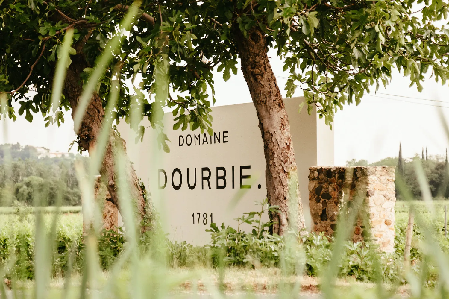 Image qui illustre: Domaine De La Dourbie à Canet - 2