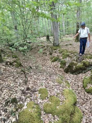 Image qui illustre: Visite guidée des Sablonnières