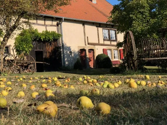 Image qui illustre: Visite guidée d'une maison paysanne authentique