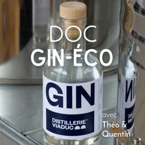 Image qui illustre: Distillez votre gin artisanal