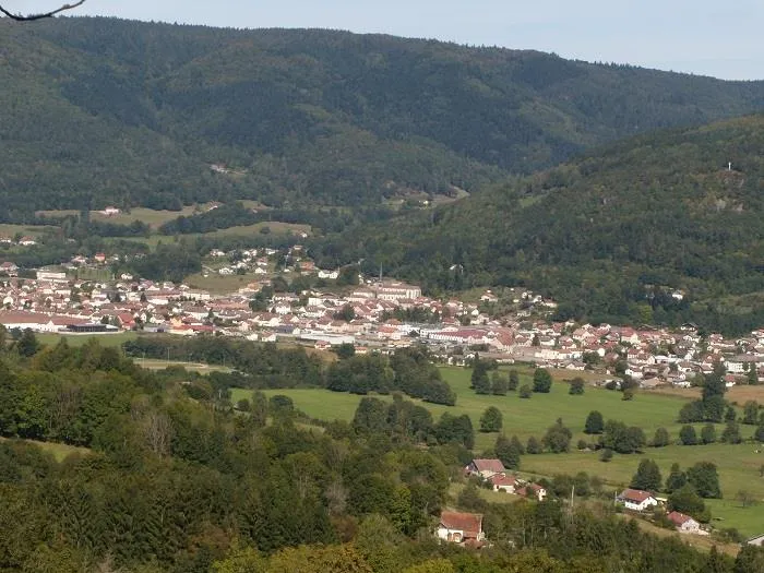 Image qui illustre: Balade Famille - Circuit Du Mont De Fourche à Rupt-sur-Moselle - 1