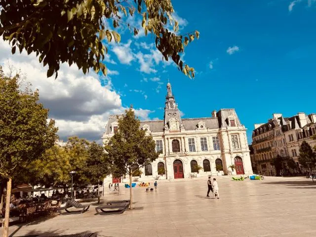 Image qui illustre: Poitiers, Ville D'art Et D'histoire