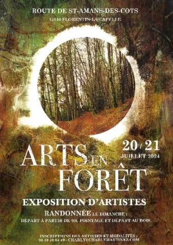 Image qui illustre: Arts En Forêt - Exposition Et Randonnée