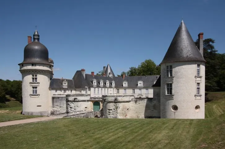 Image qui illustre: Château Du Gué-péan