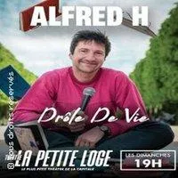 Image qui illustre: Alfred H - Drôle de Vie - La Petite Loge - Paris 09
